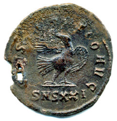Anton-2.jpg