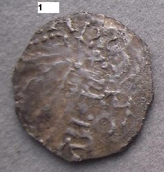 heinricus_2a.JPG