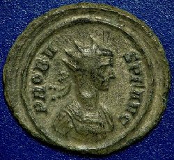 Probus1.jpg