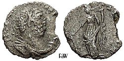 la_carausius_1_72g_15-16mm_.jpg