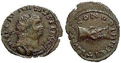 la_carausius_2_92g_20-23mm_.jpg