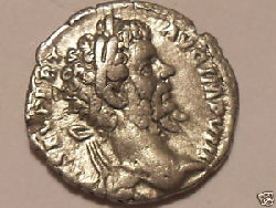 septimius av.JPG