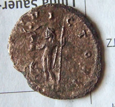 DSCF5325-1.jpg