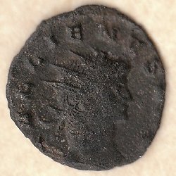 14a.jpg