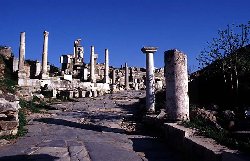 wgephesos-hauptstrasse02.jpg