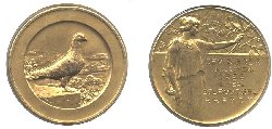TAUBE.jpg