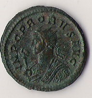 Probus33AV.jpg