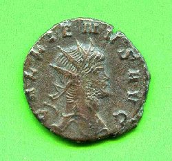img23277.jpg