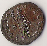 Probus50RV.jpg