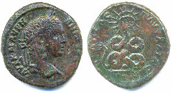 caracalla pautalia schlange.jpg