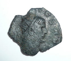P1050347.jpg