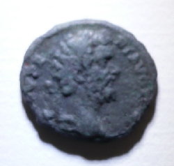 P1050351.jpg
