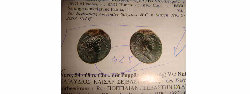 DSC01772JPG.jpg