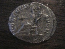 Orbiana Rev.jpg