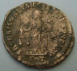 constantius rs essig 3.JPG