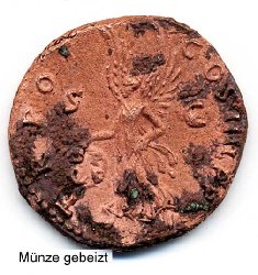 Trajan-gebeizt.jpg