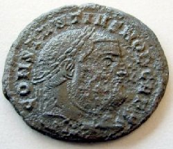 constantius rep vs web.jpg
