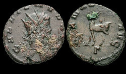 Gallienus-Antilope-forum.jpg