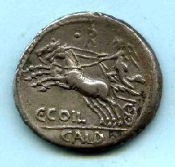 2).  104 v. C. Coelius Caldus. Rv. C COIL - darunt. CALD..jpg