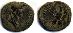 Apollonis Senat Adler.jpg