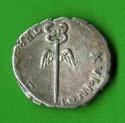 Denar Vespasianus C. 362 Rv. PON MAX TRP COS V. Geflügelter Merkurstab..jpg