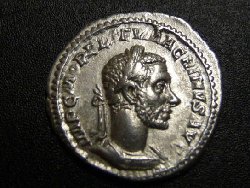 Macrinus 017.jpg