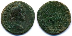 nikopolis_macrinus_AMNG1713.jpg