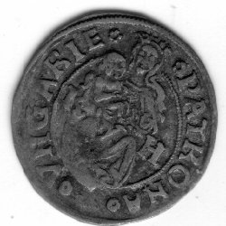 Denar Wladislaus 1507-klein.jpg