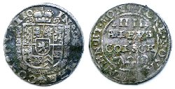 1643_4-Albus-n.jpg