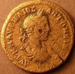 Mark 13 Av.JPG