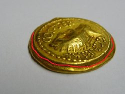 fa2.jpg