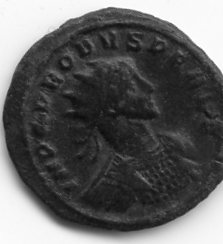 SLN3018.jpg