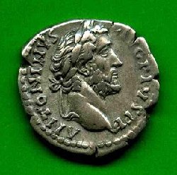 Denar Antoninus Pius C. 490 Av. ANTONINVS AVG PIVS PP..jpg