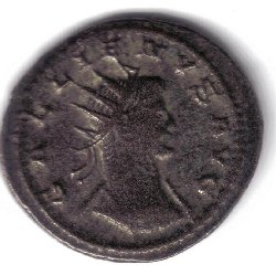 Göbl1668qAv.jpg