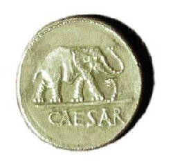 caes_1.jpg