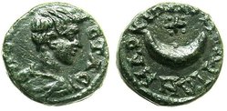 markianopolis_geta_AMNG707.jpg