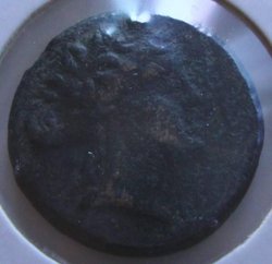 Pic 11.jpg