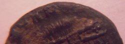 DSCN1866.JPG