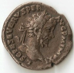 sptseverus 80 av.jpg