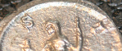 detail1.jpg