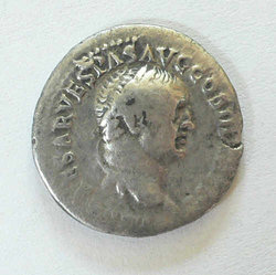 Vesp_Eph_Av.jpg