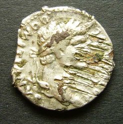 P1250848numismatikforum.jpg