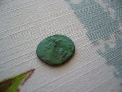 P1020416(1).JPG