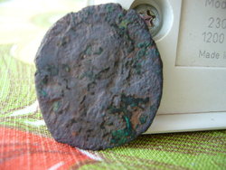 P1020438(1).JPG