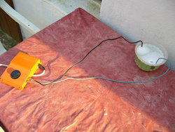 P1020577(1).JPG