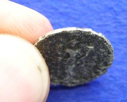 2010-07-18 009.jpg