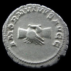 pupienus_rv.jpg