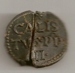 calixtus2.jpg