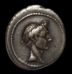 Caesar I.jpg