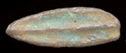 olbia_leaf_money.jpg